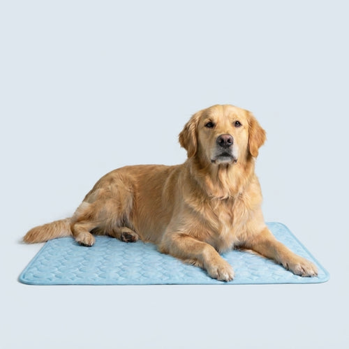 IcyMates-Cama Anti Golpe de Calor Para Perros