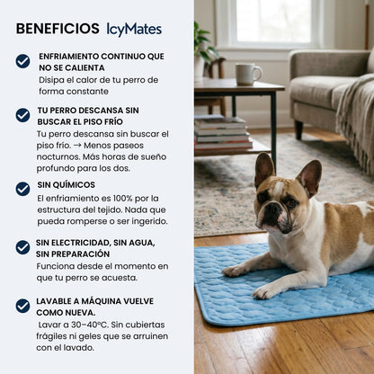 IcyMates-Cama Anti Golpe de Calor Para Perros