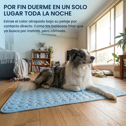 IcyMates-Cama Anti Golpe de Calor Para Perros