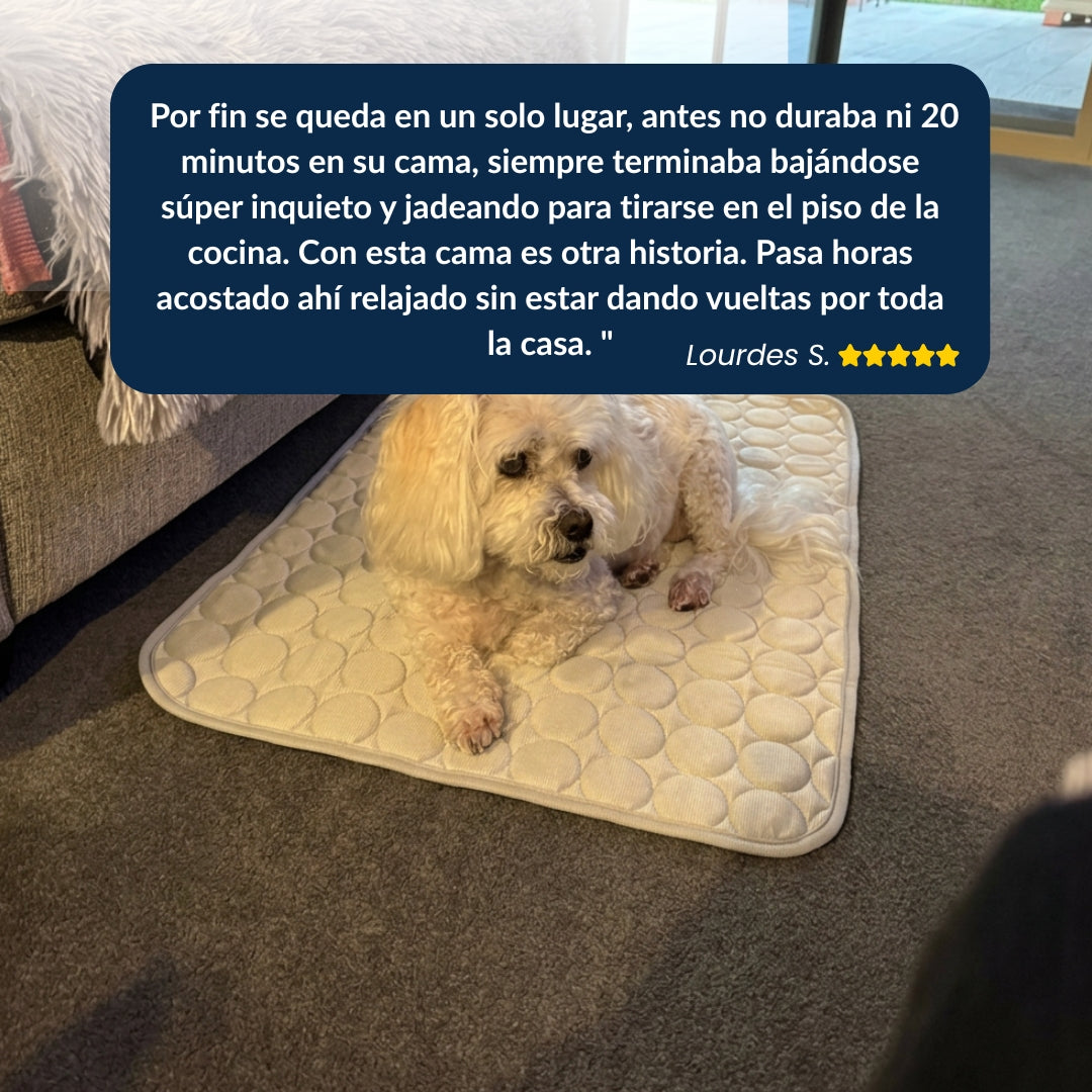 IcyMates-Cama Anti Golpe de Calor Para Perros