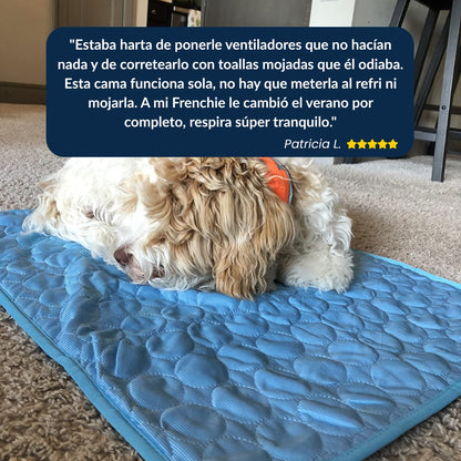 IcyMates-Cama Anti Golpe de Calor Para Perros