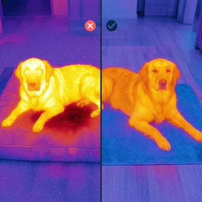 IcyMates-Evita que tu perro sufra un golpe de calor este verano