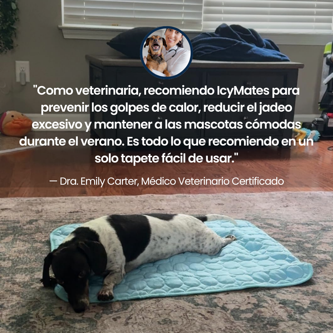 IcyMates-Evita que tu perro sufra un golpe de calor este verano