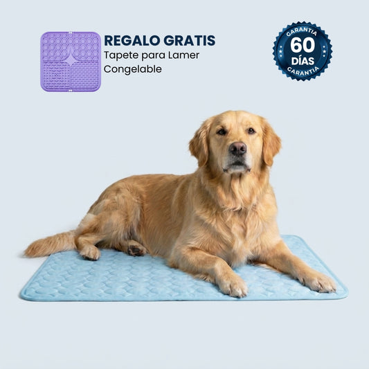 IcyMates-Evita que tu perro sufra un golpe de calor este verano
